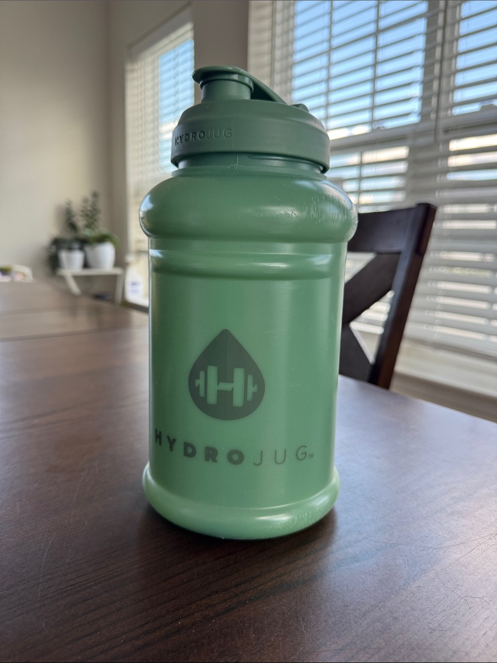 HydroJug Matte Sage Green Water Bottle - HydroJug